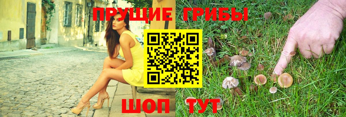 Галлюциногенные грибы мухоморы  Вход с VPN  Новоалександровск 