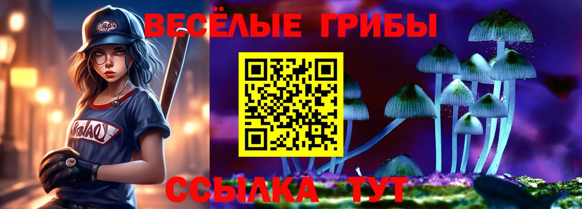 Псилоцибиновые грибы Psilocybe Новоалександровск